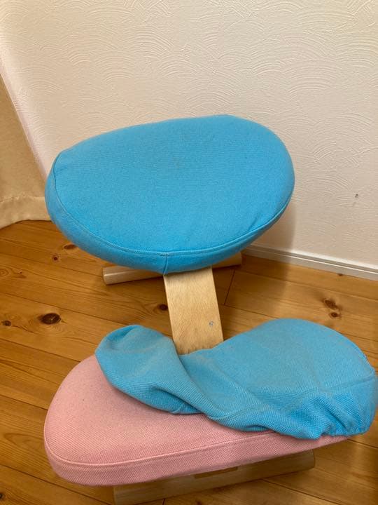 Rybo Balans EASY バランスイージー バランスチェア　カバー付き