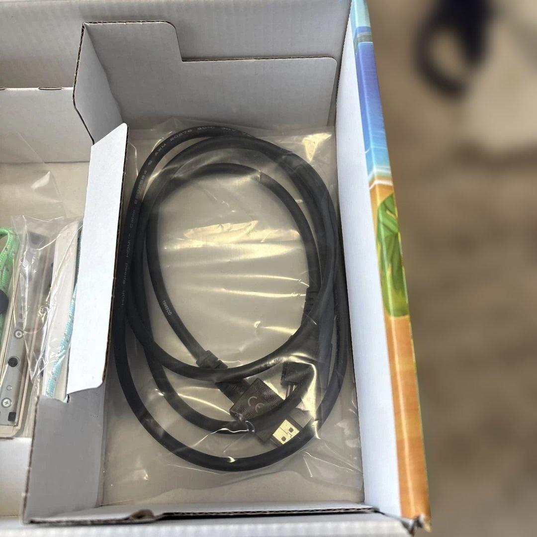 Nintendo Switch どうぶつの森セット 完品 本体ケース付き