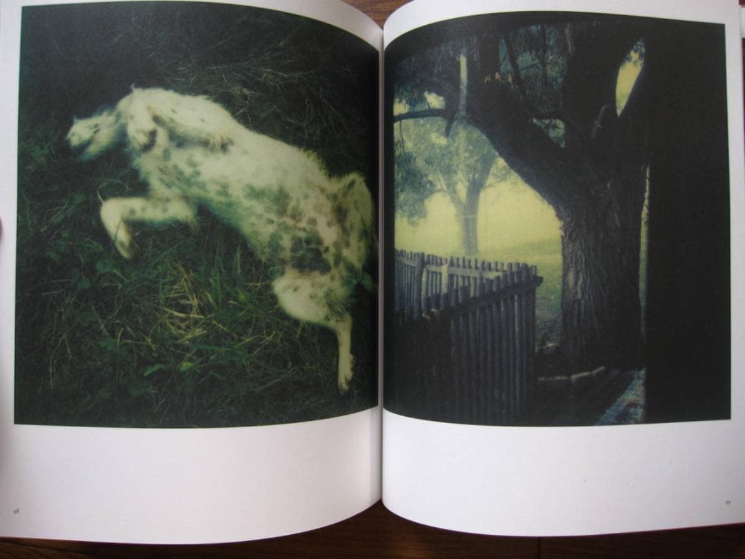 Bright, Bright Day　Andrey A. Tarkovsky