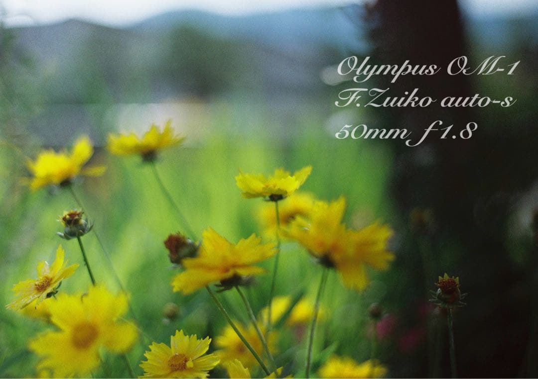 ★完動品＊美品＊初期保証★OM-1 ★グリーンリザード外装★作例必見！