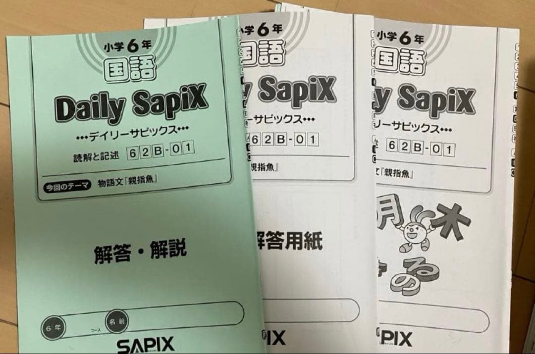 小6 国語 デイリーサピックス 24回分+春期講習•夏期講習 ウィークリーサピ他