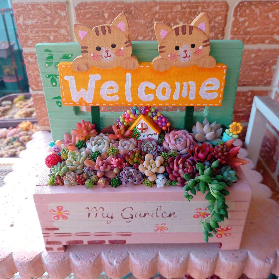 ❤️専用❤️多肉植物❤️そのまま飾れる寄せ植え❤️