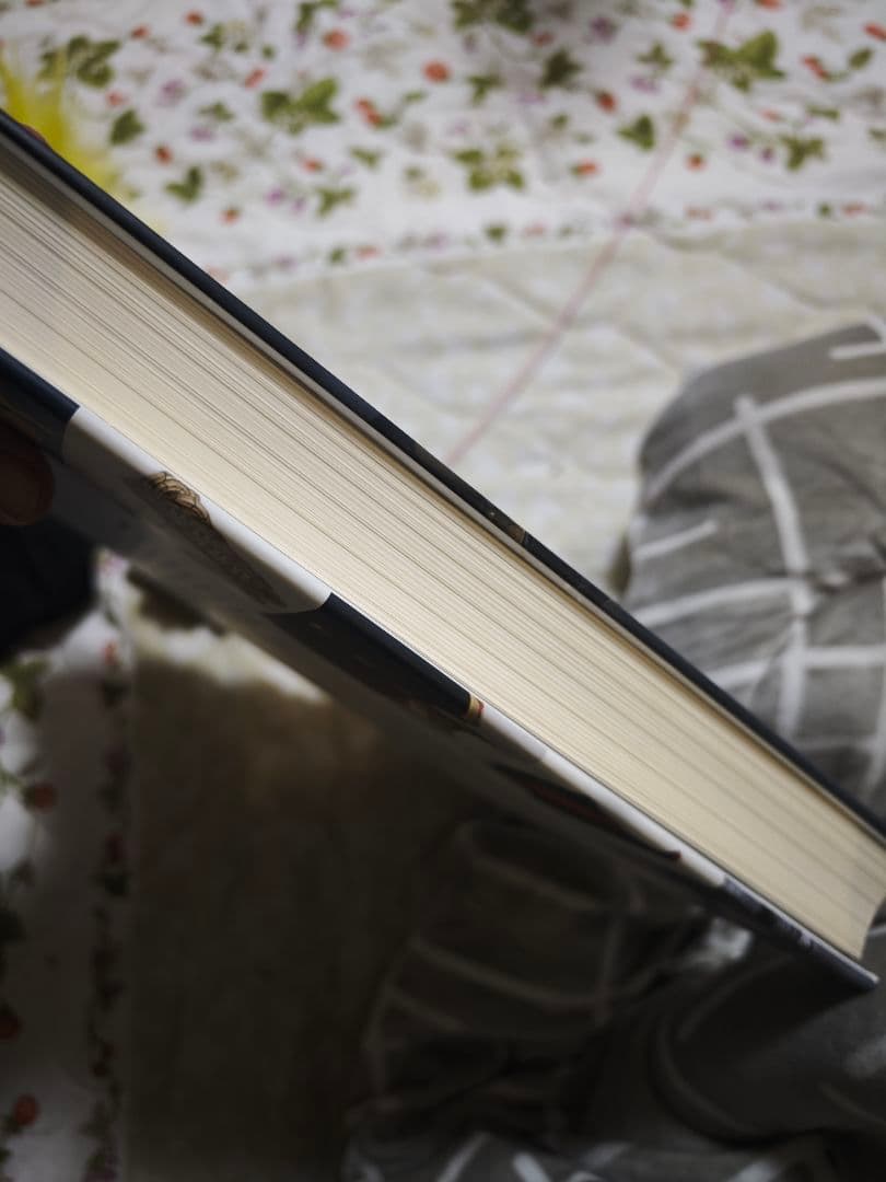 ドイツ　帝国　参考資料　コレクション2冊組 合計1300ページ