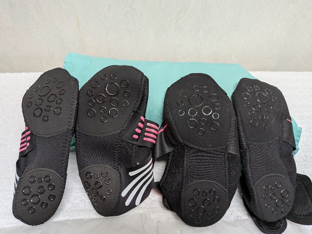 SANGACIO にゅ〜ずグレースニーカー 24.5 cm10周年モデルヨガ靴下