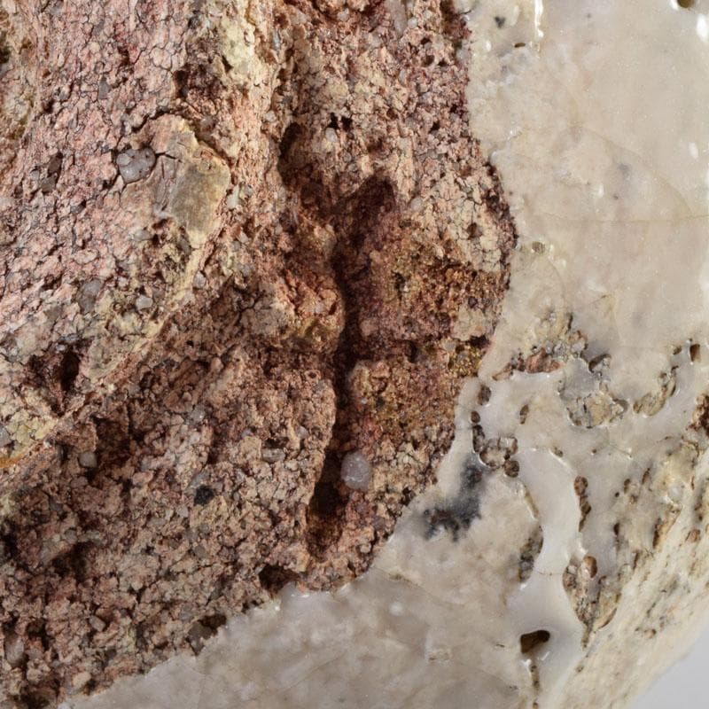 茶道具　人間国宝　荒川豊蔵作　鬼志野　茶碗　加藤卓男 識箱　M　R9188