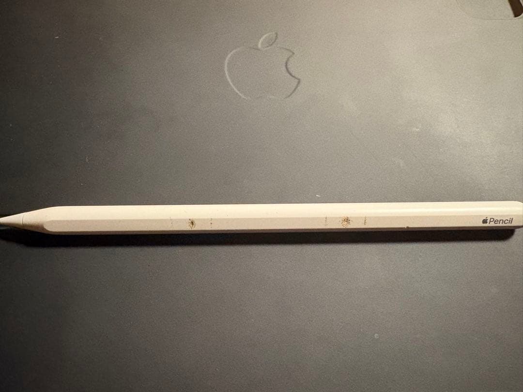 iPad Pro 11インチ　cellularモデル64GB