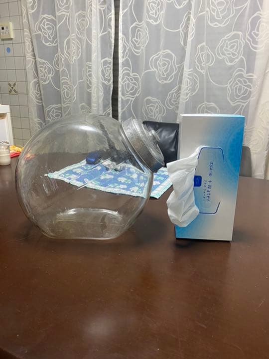 ガラスケース駄菓子屋に^_^レアです！