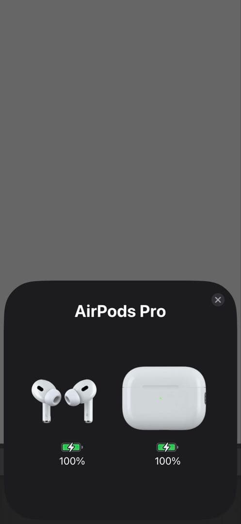 【美品】正規品★Apple★AirPods Pro2★第2世代★本体 付属品全て