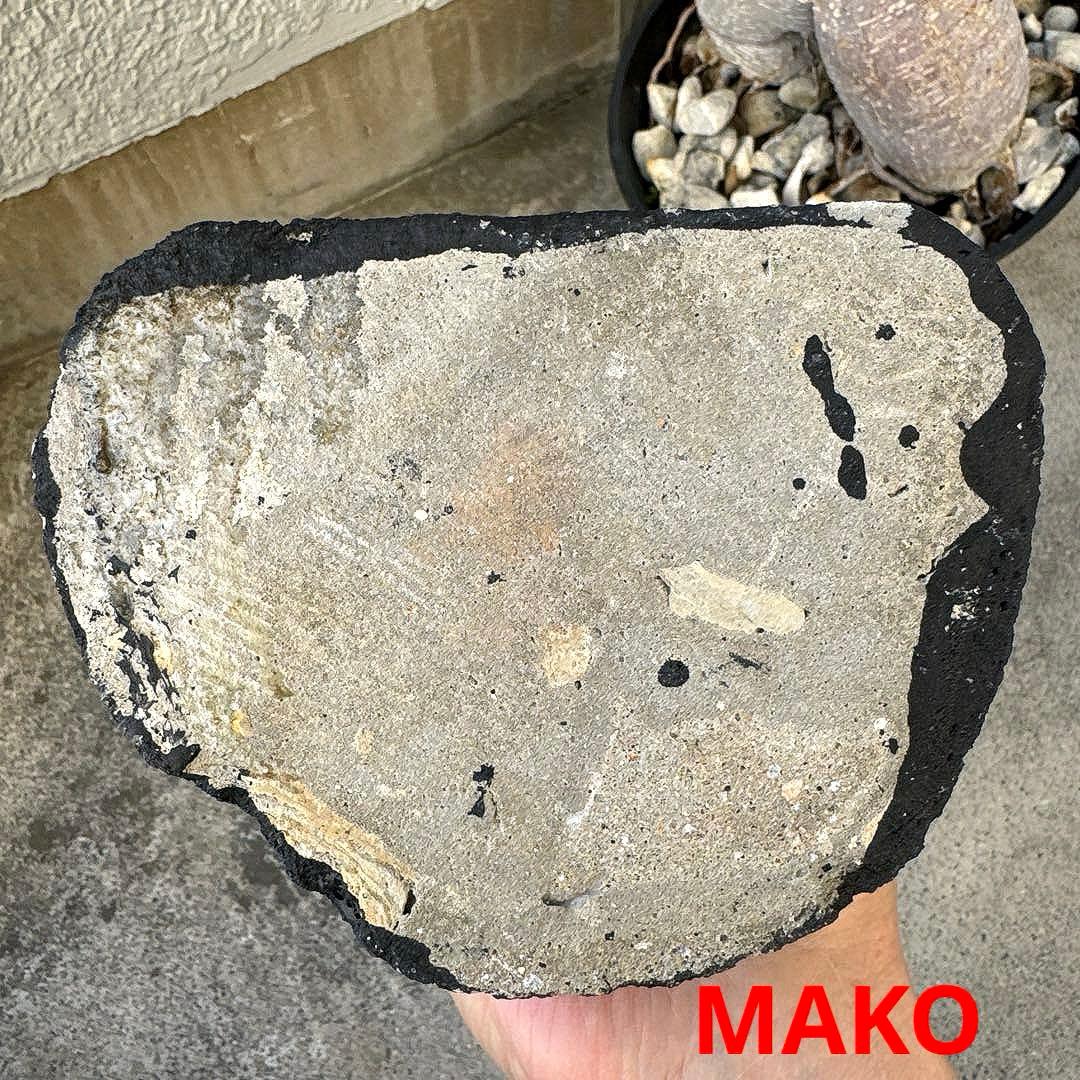 M1886☆アメジストドーム1.9Kg☆ウルグアイ産☆天然石☆N60104-A