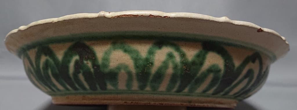 コレクター収集　ミャンマー　白濁緑釉　絵草花文　輪花大皿　15～16世紀