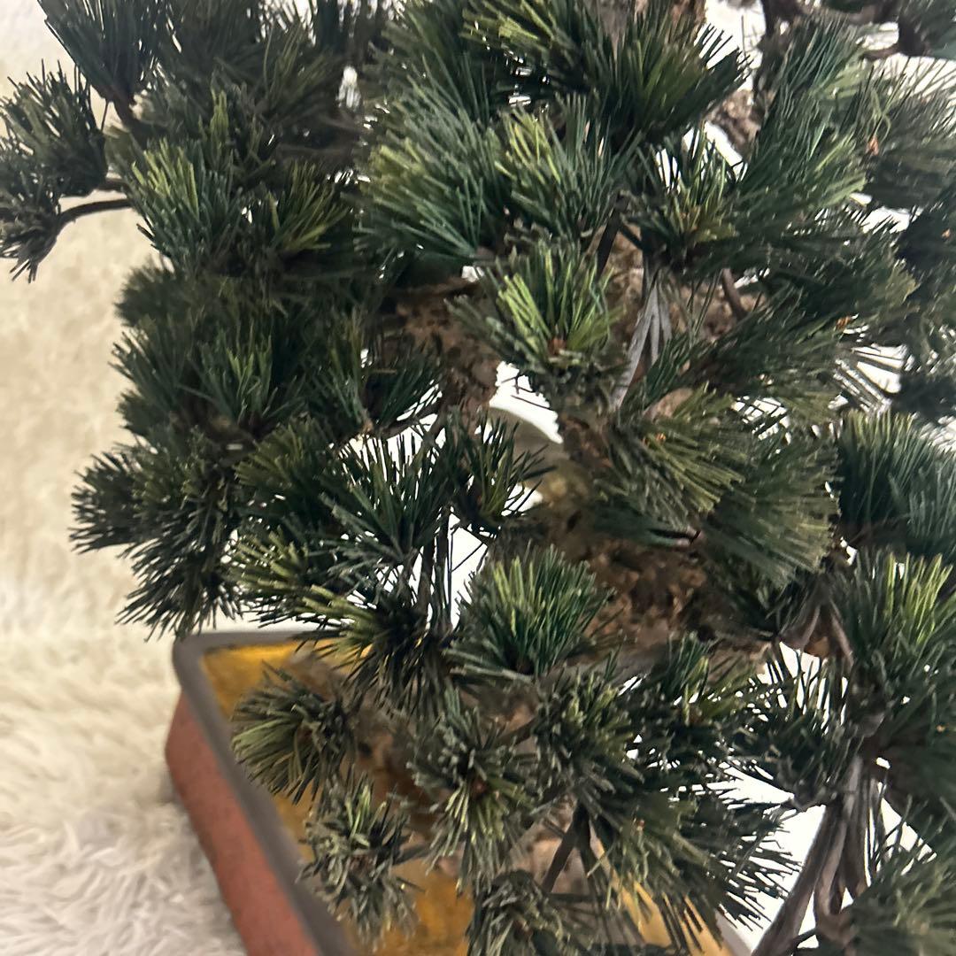 【美品】造花 盆栽 レプリカ 松　ビッグサイズ