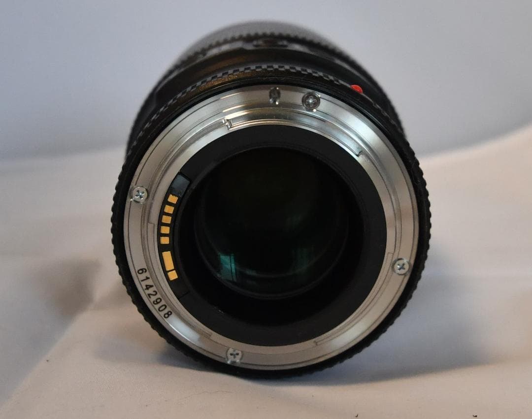 Canon EF100mm F2.8Lマクロ IS USM