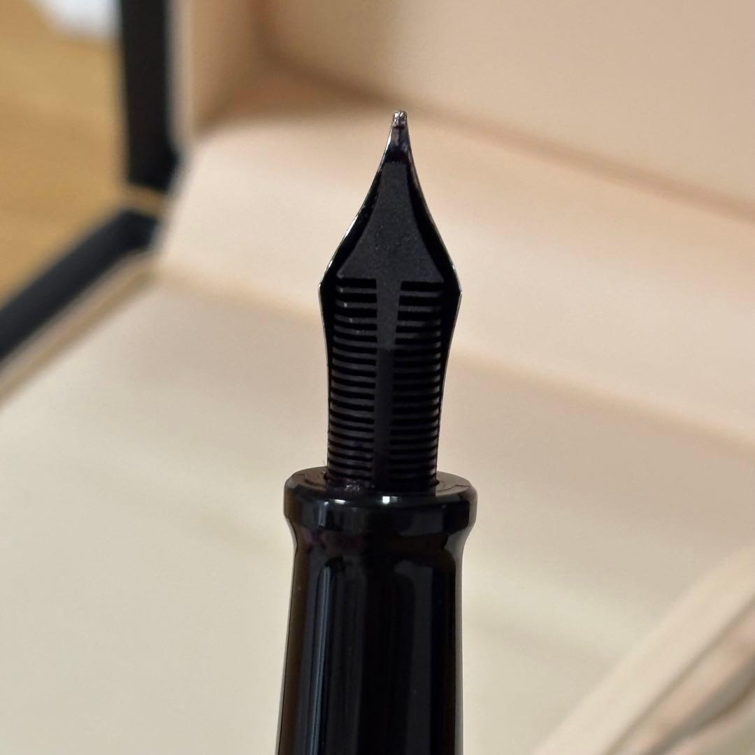 AURORA アウロラ　タレンタム　万年筆　ペン先14K 箱入