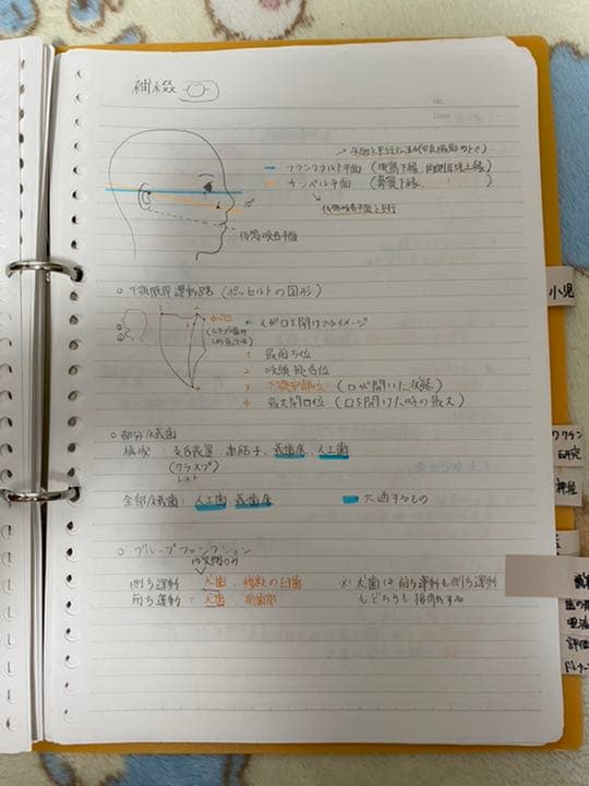 歯科衛生士国家試験対策ノート
