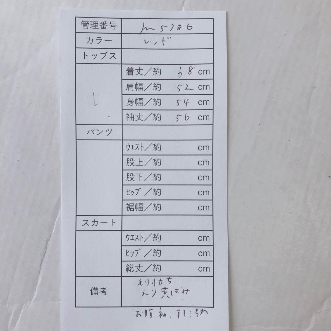 アミアレクサンドルマテュッシ　長袖トップス　長袖ポロシャツ　ボーダー　レッド　L