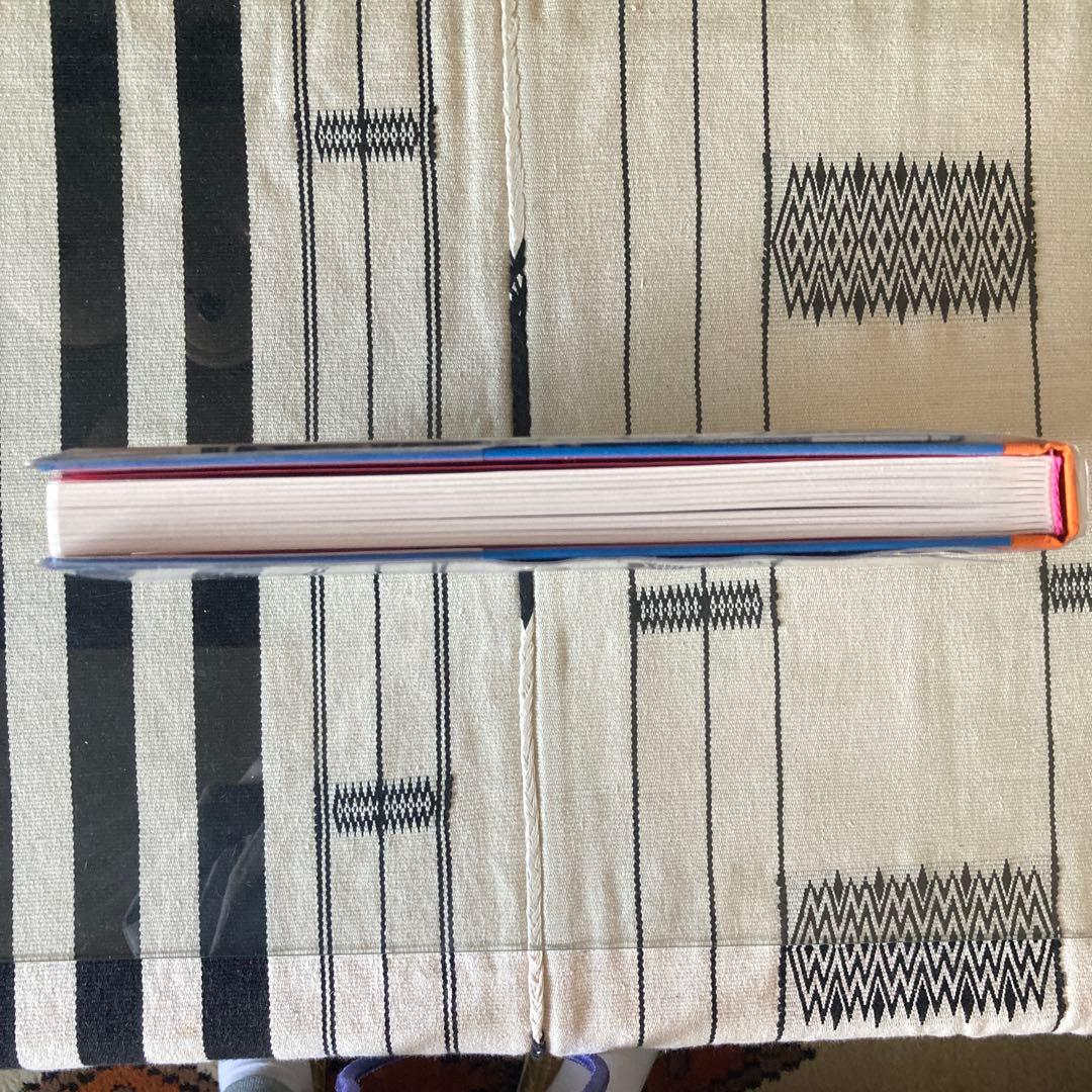 希少美品| JANE&SERGE 完全付録つき洋書　アート写真集　オシャレ装丁