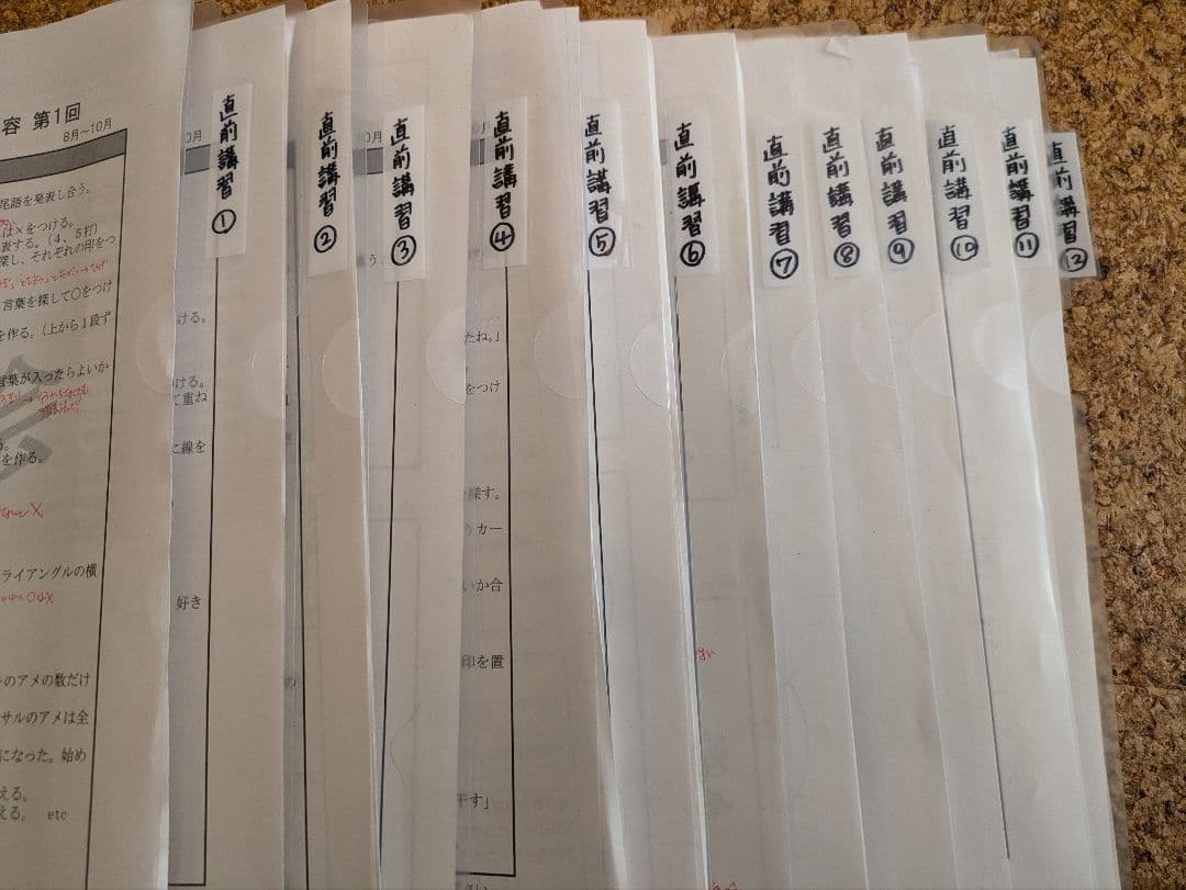 【伸芽会】年長11〜10月　総合クラス　冬期　夏期　直前講習　未記入プリント