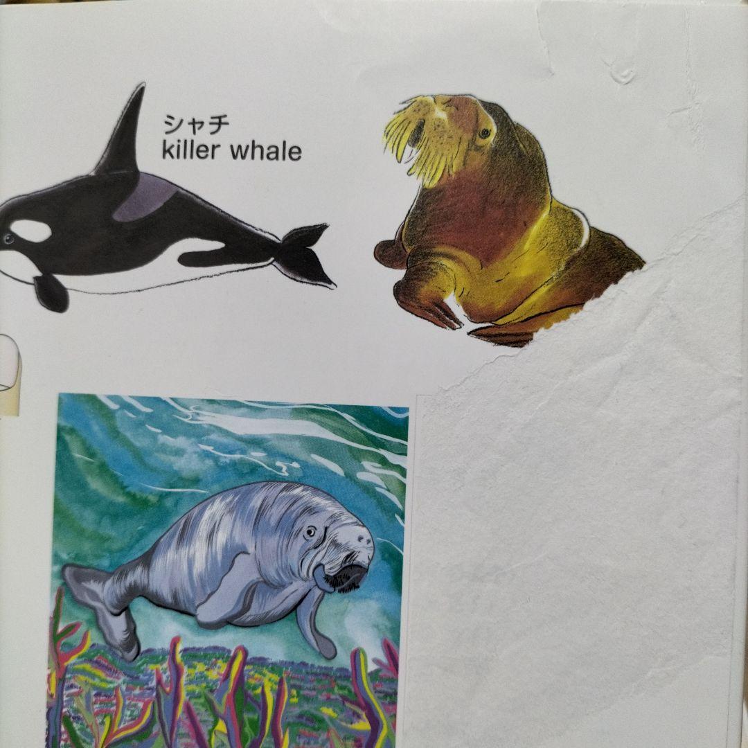 英語教材　家庭保育園　第5教室　一式