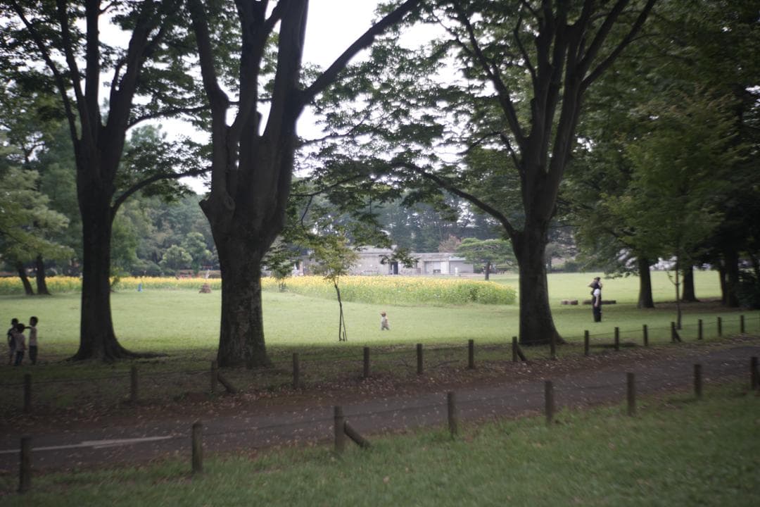 Primoplan 58mm f1.9V 整備済 マウントアダプタ付