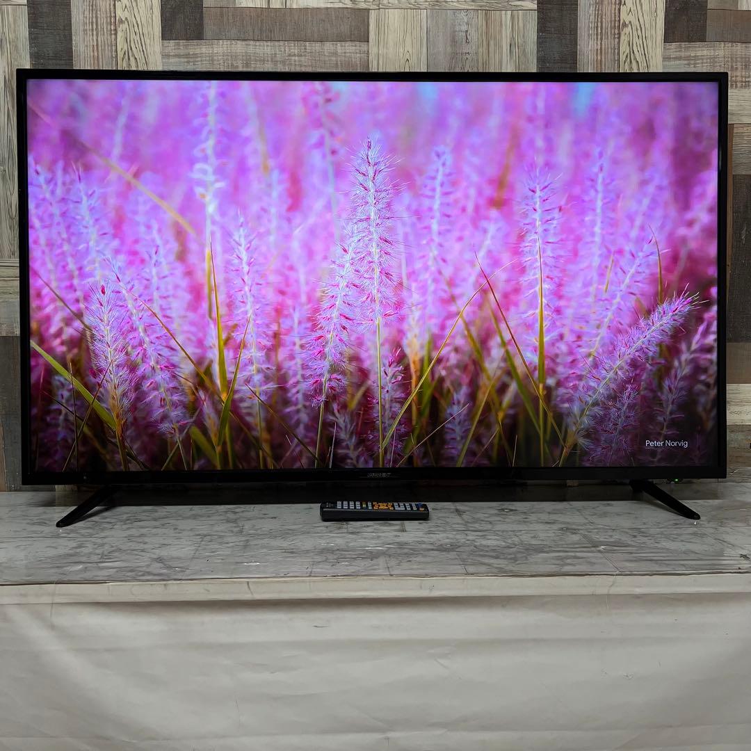 即日受渡❣️全国送料込ジャパンネクスト55V型4K目に優しいブルー軽減スピーカー