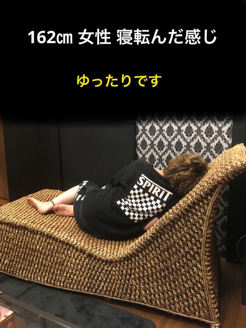 超稀少♦️ウォーターヒヤシンス♦️最高級リゾート　サンベット♦️シェーズロング♦️送料込