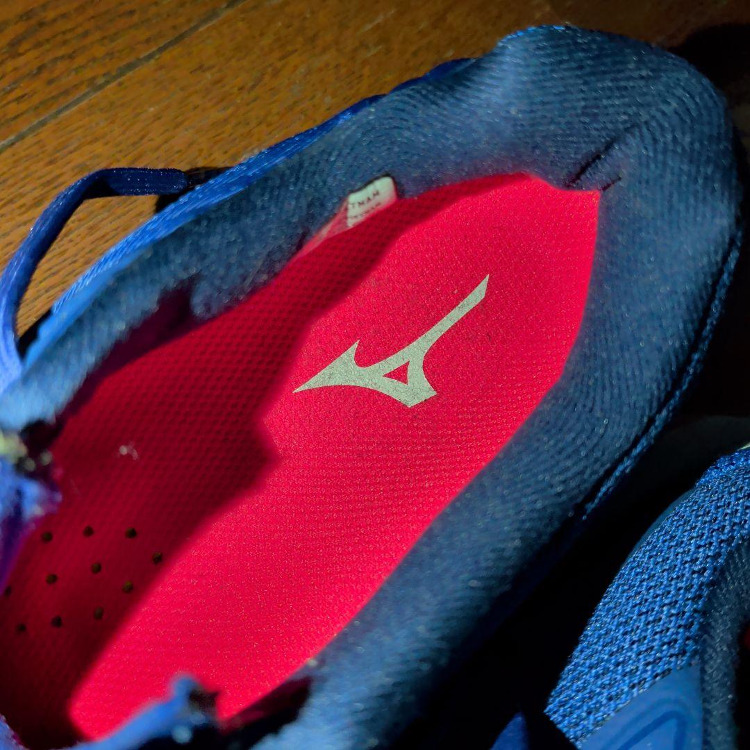 ウェーブライトニング Z6 バレーボールシューズ　24cm