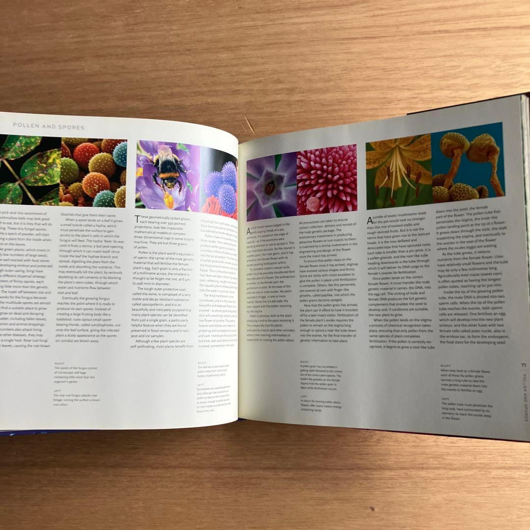 [NANO NATURE]R.ジョーンズ　英コリンズ社電子顕微鏡による驚異の実相