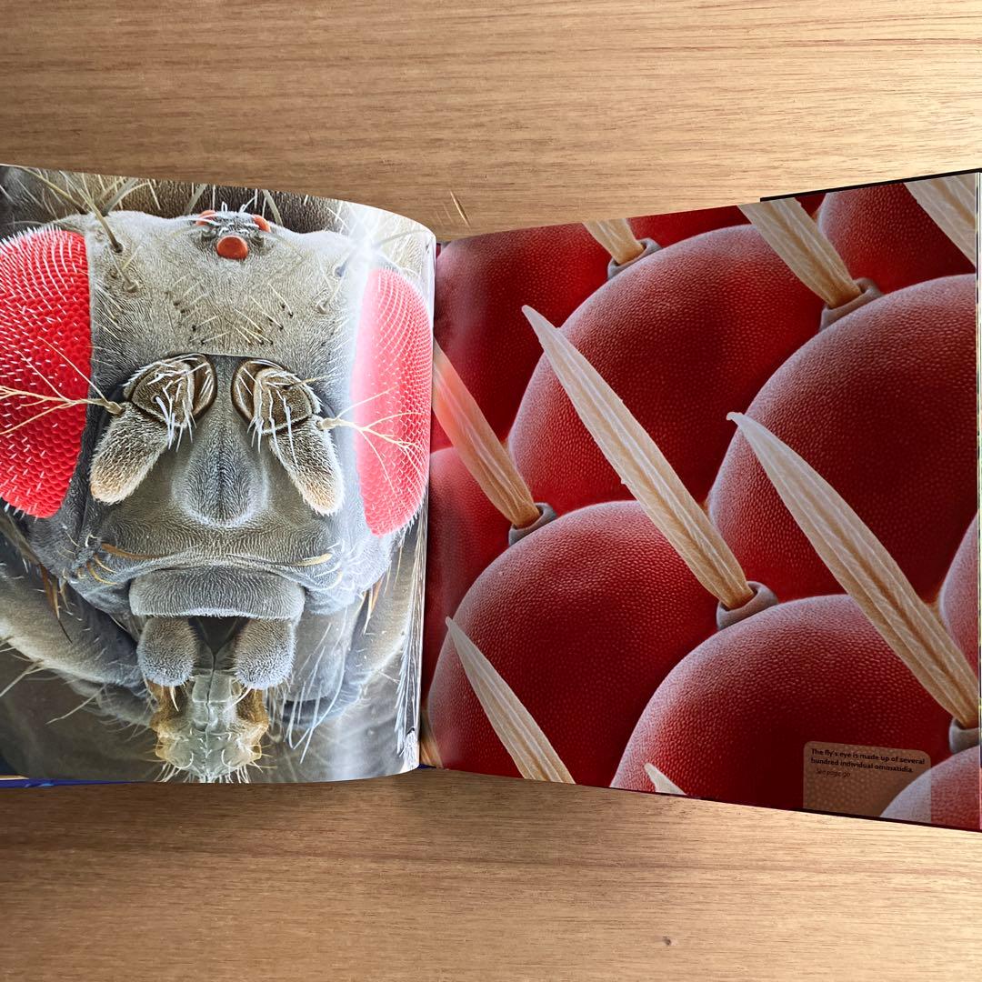 [NANO NATURE]R.ジョーンズ　英コリンズ社電子顕微鏡による驚異の実相