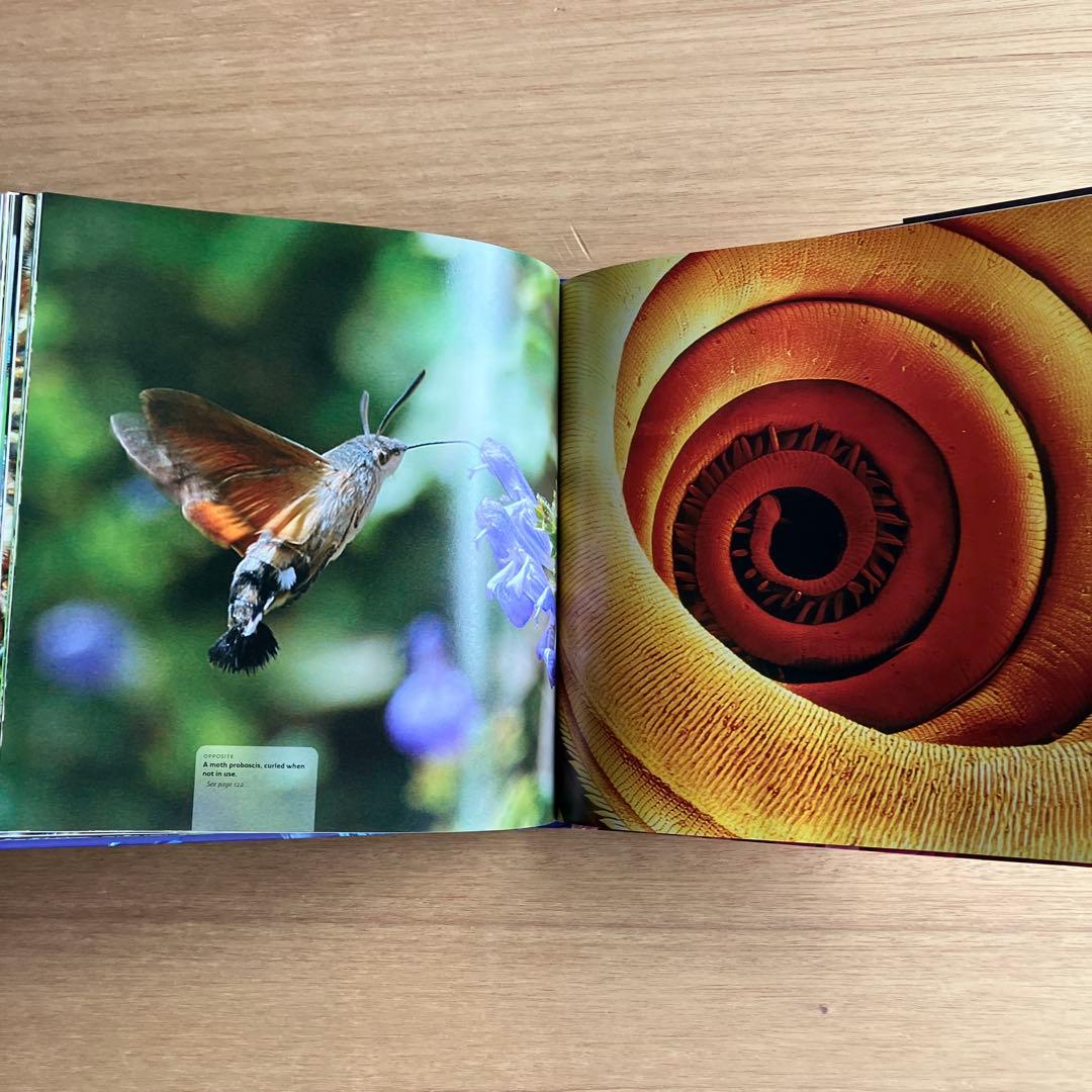 [NANO NATURE]R.ジョーンズ　英コリンズ社電子顕微鏡による驚異の実相