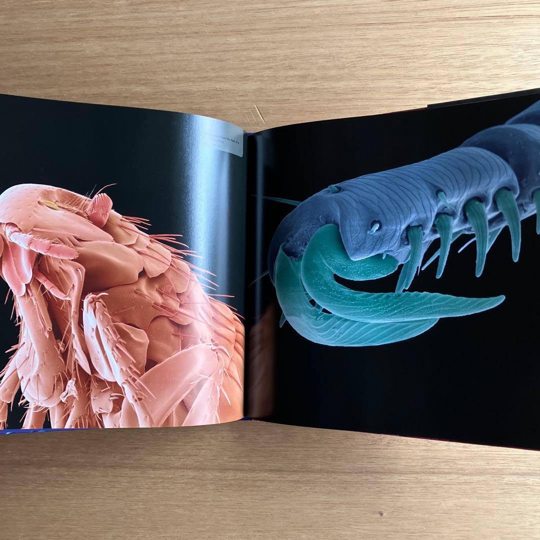 [NANO NATURE]R.ジョーンズ　英コリンズ社電子顕微鏡による驚異の実相