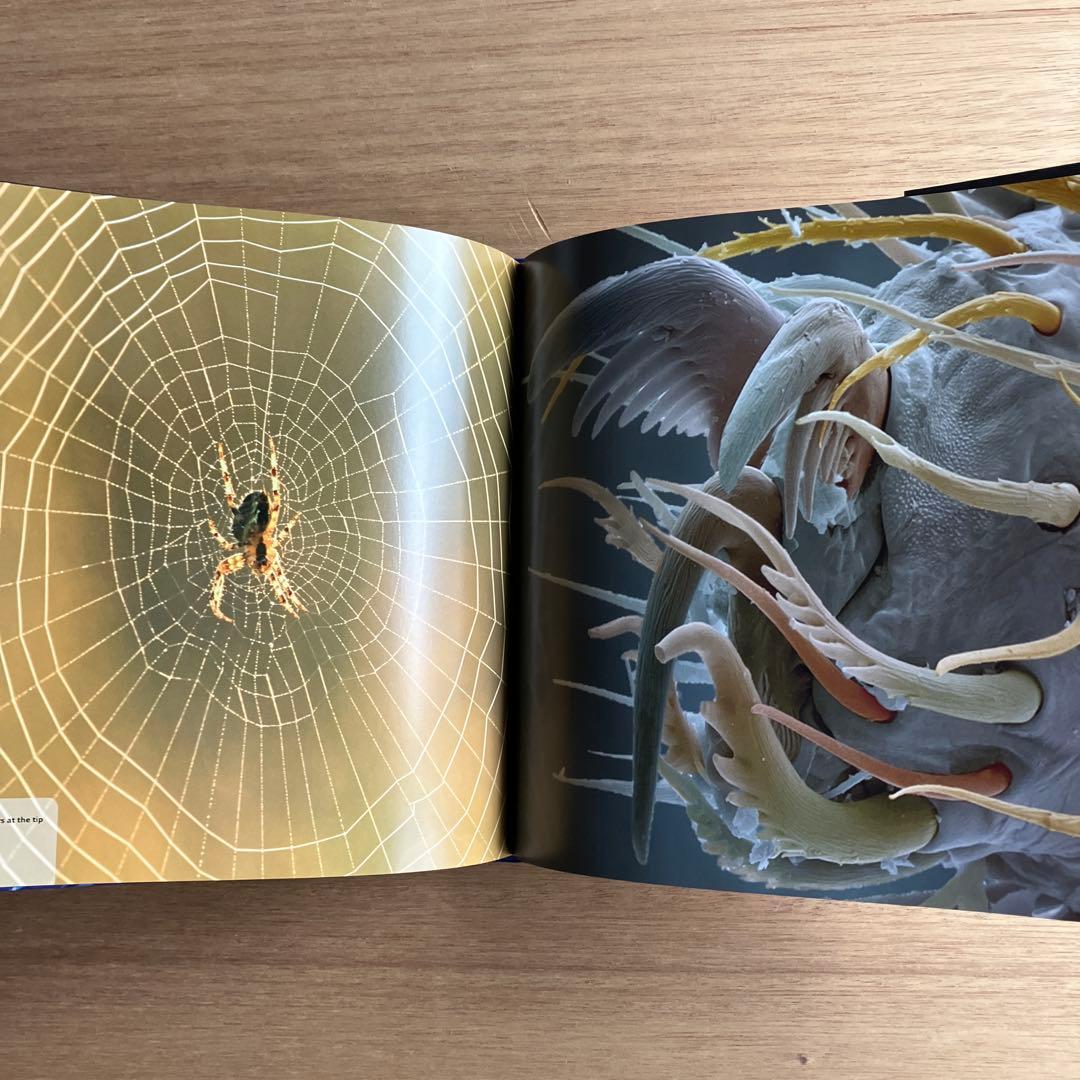 [NANO NATURE]R.ジョーンズ　英コリンズ社電子顕微鏡による驚異の実相