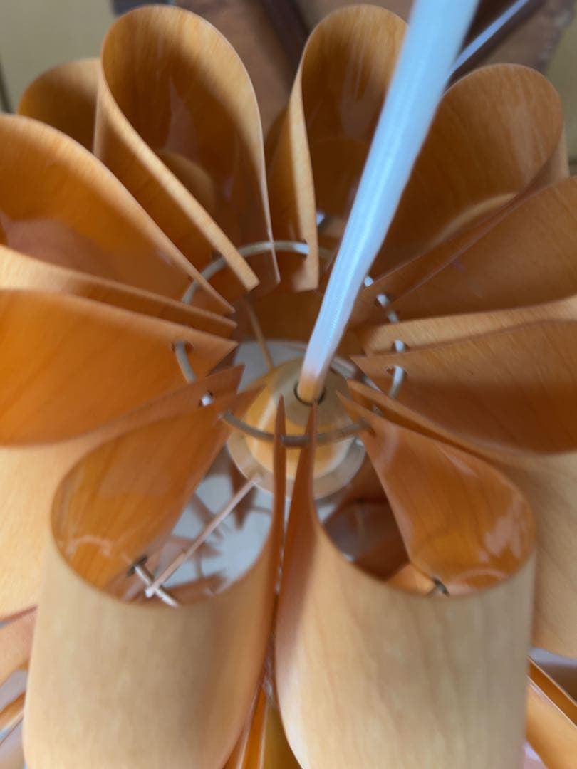 谷俊幸　シーリングライト