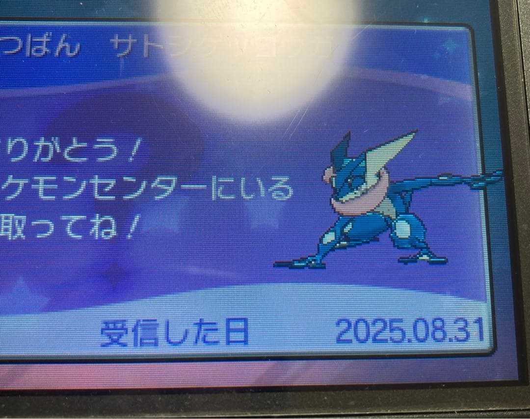 ポケモン DS 3DS パール ブラック X サン ハートゴールド パルパーク