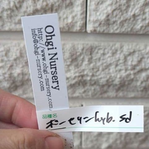 専用　お取り置き