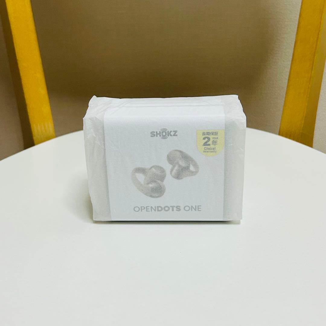 【美品】Shokz opendots one グレー 充電器のみ