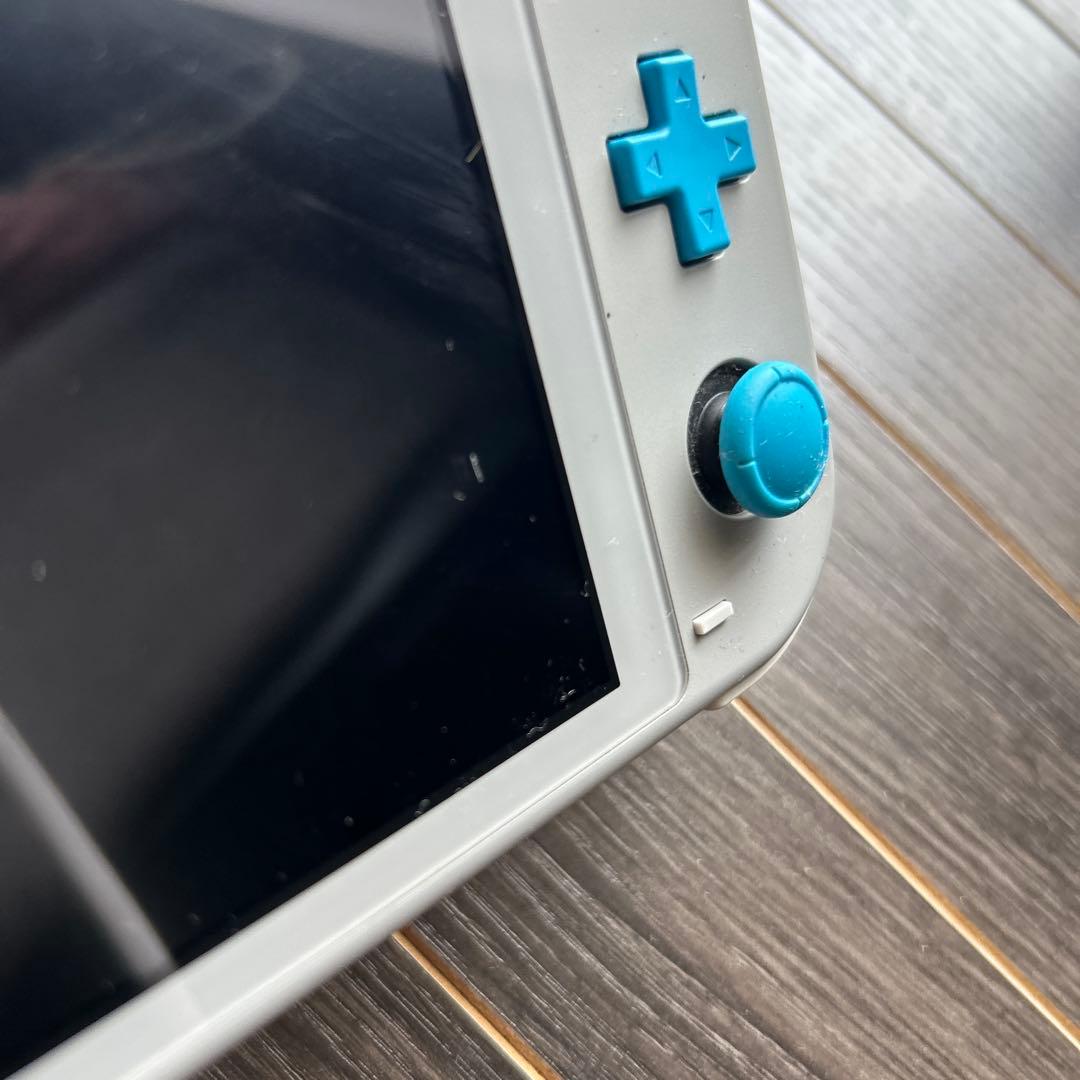 Nintendo Switch Liteスイッチ ザシアン/ザマゼンタ ポケモン