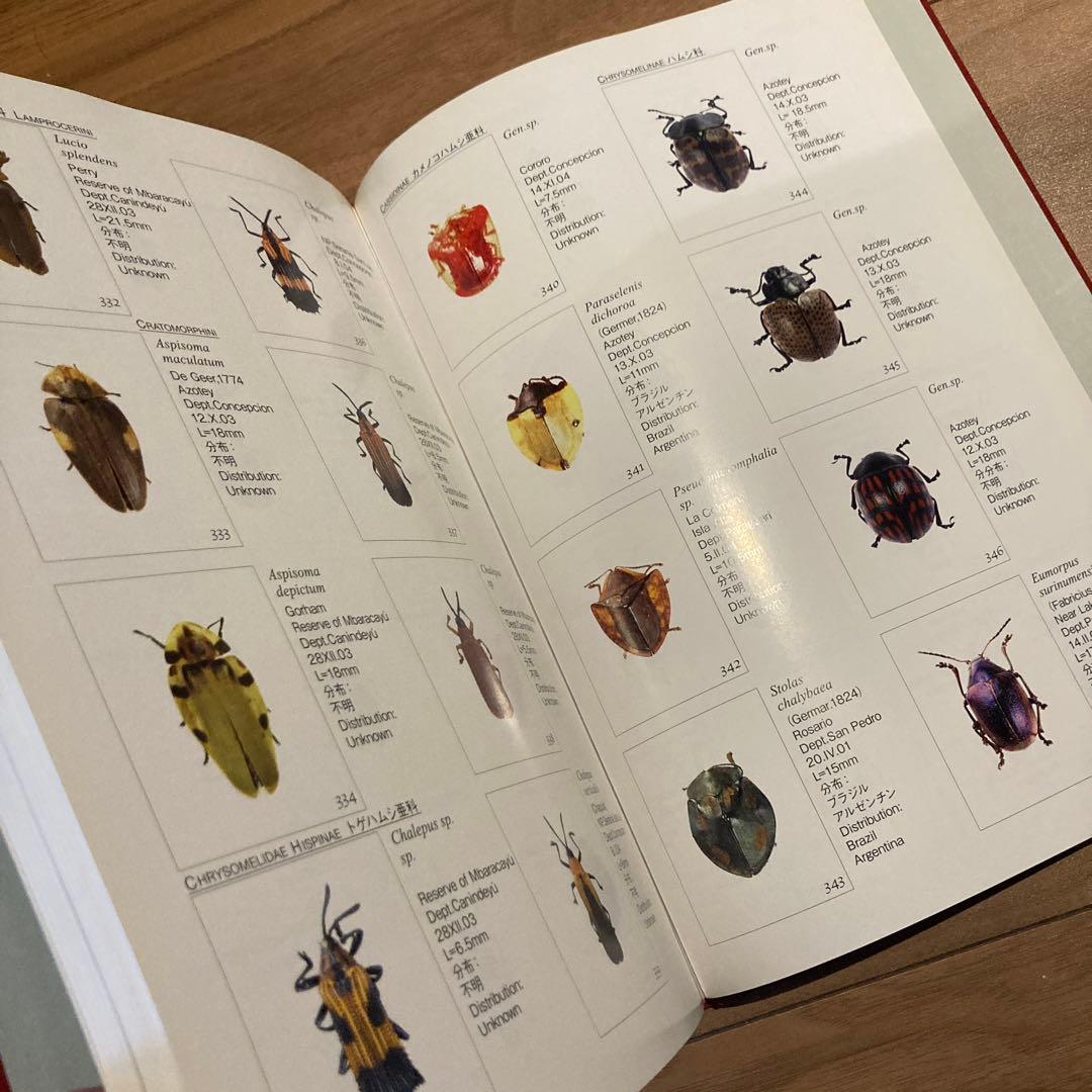 野生ラン 写真集「艶蘭亭 ADELANTE - パラグアイの野生蘭と甲虫」小山貢