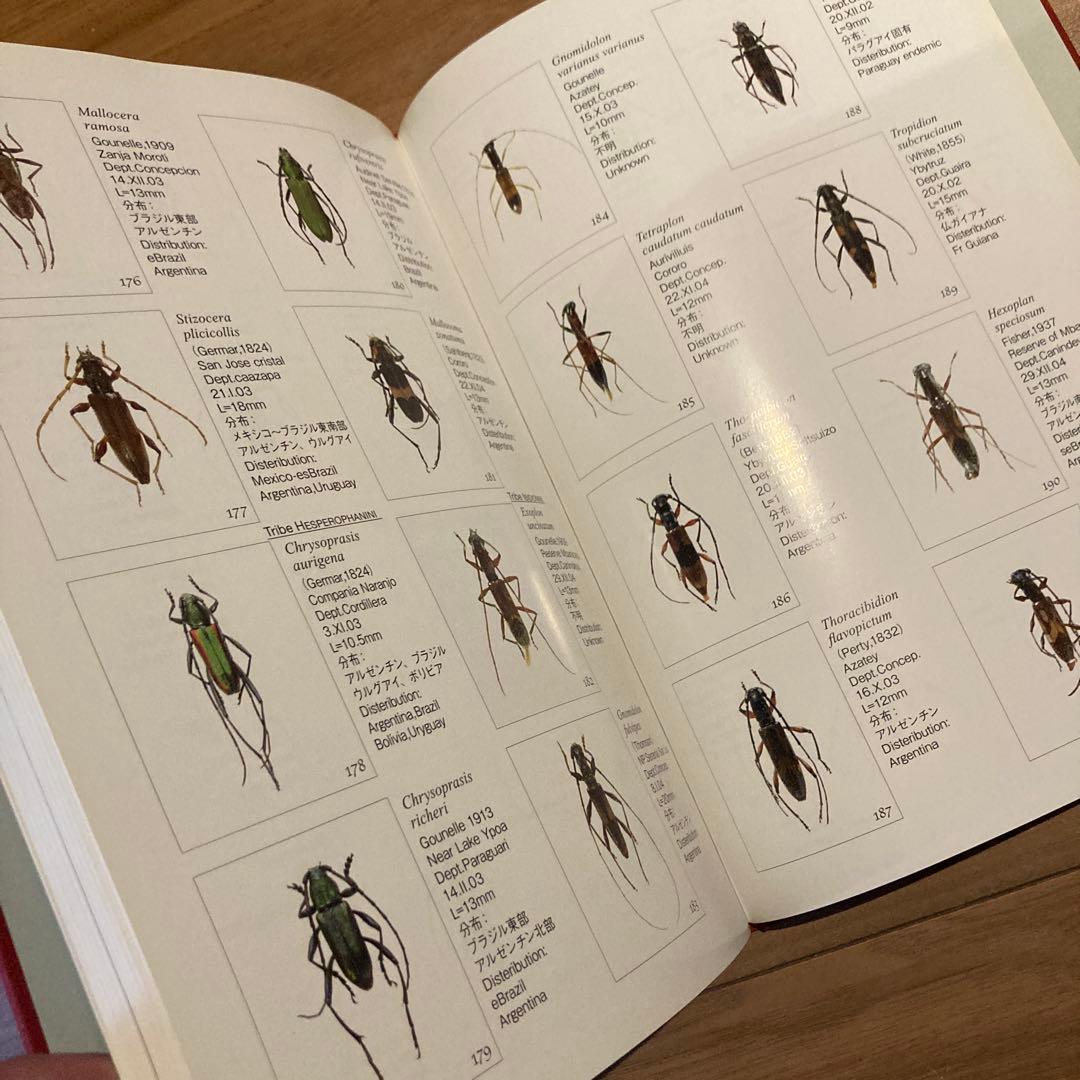 野生ラン 写真集「艶蘭亭 ADELANTE - パラグアイの野生蘭と甲虫」小山貢