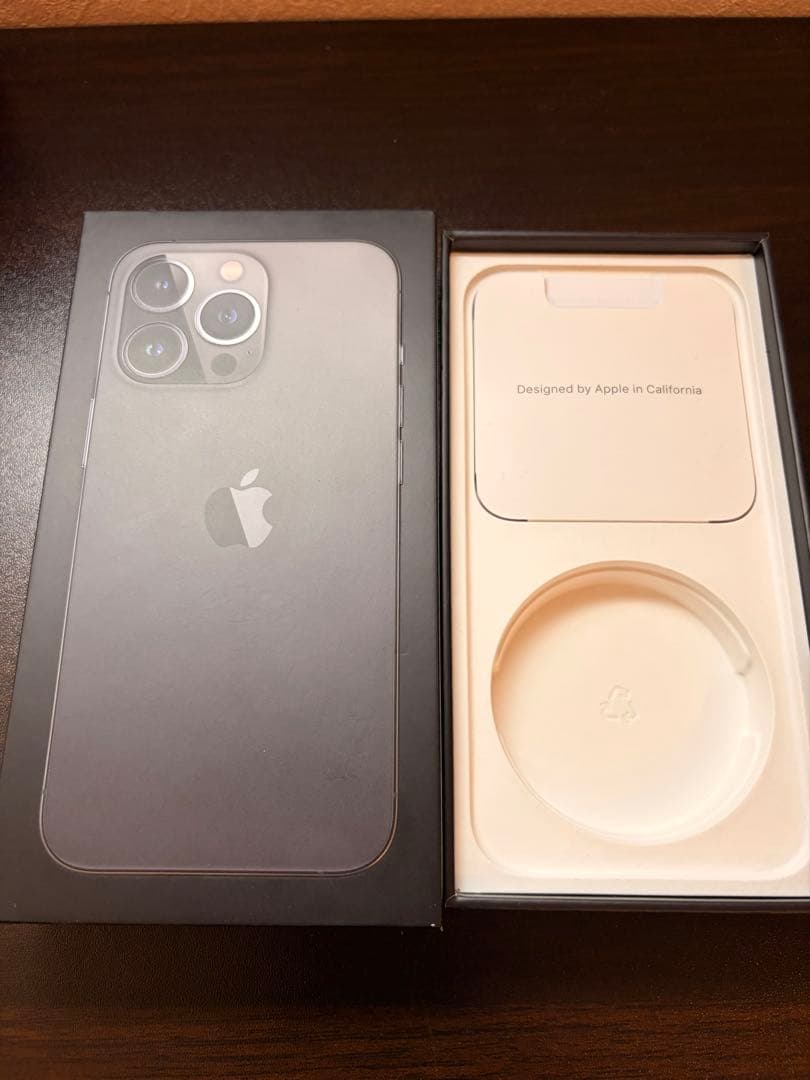 Apple iPhone13 Pro 256GB グラファイト