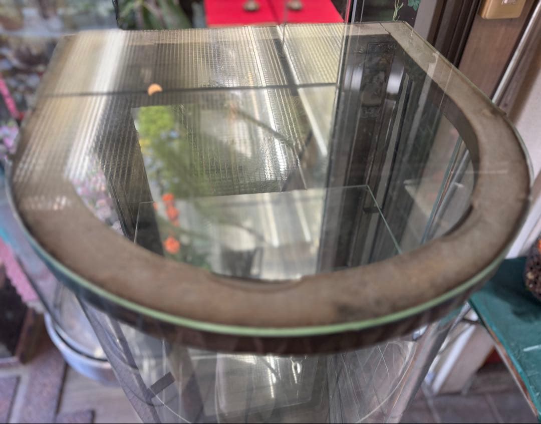 アンティーク調 半円形ガラスディスプレイケース