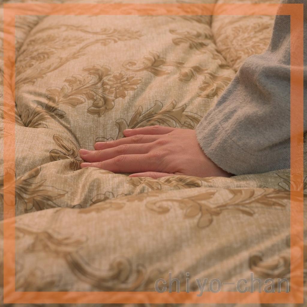 モリリン ほこりが出にくい カーボンホット 掛けふとん＜シングル＞　ゴールド