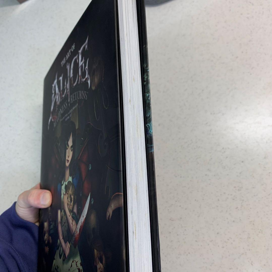 【絶版・希少本】アートオブアリスマッドネスリターンズ　日本語版