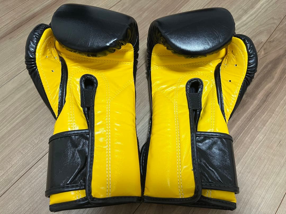 【本日終了】フェアテックス ボクシンググローブ BGV9 10oz