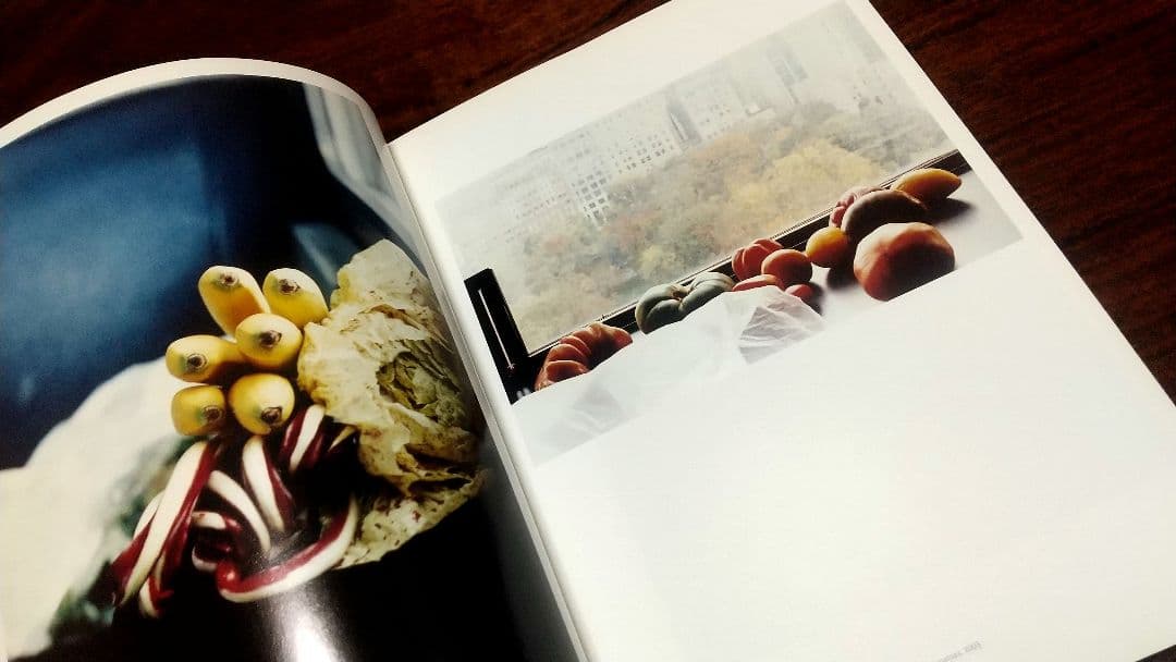 Wolfgang Tillmans Freischwimmer 写真展 図録