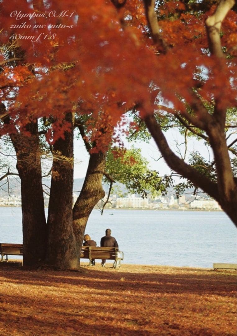 入門に★olympus om-1レンズセット★完動品＊美品＊初期保証＊作例多数！