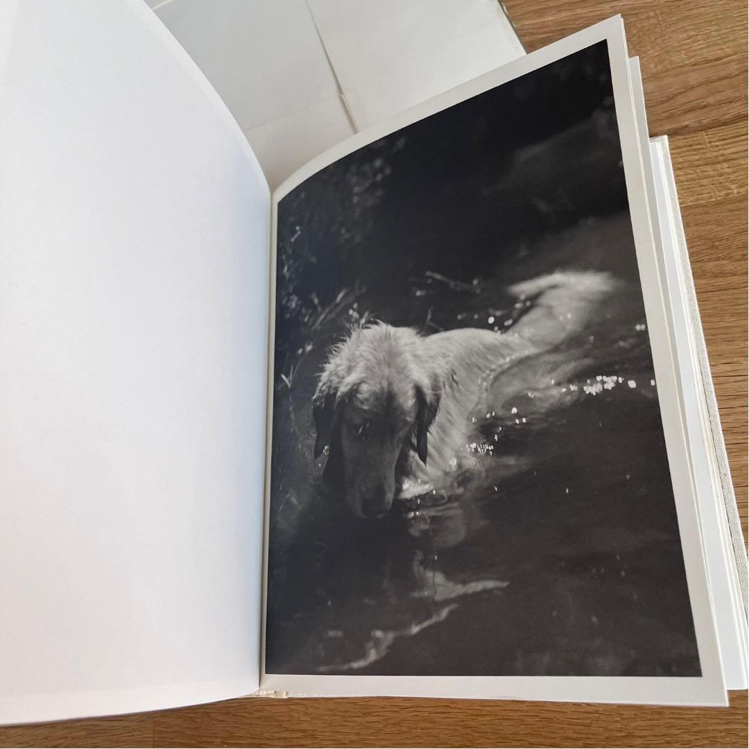 BEAR POND Bruce Weber 初版本 1990年 写真集 希少本