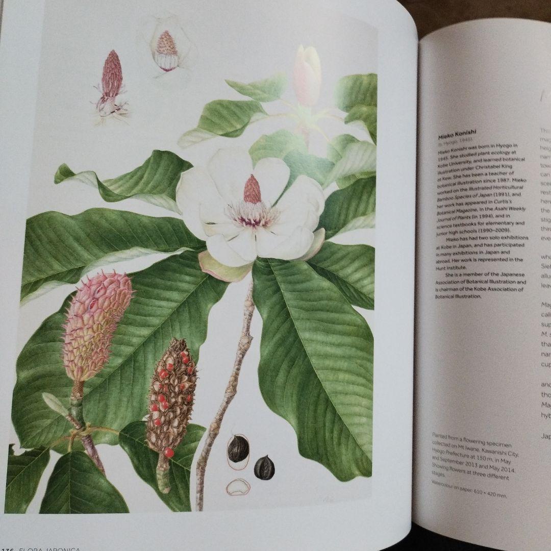 FLORA JAPONICA 日本植物誌　2016年 252P SC