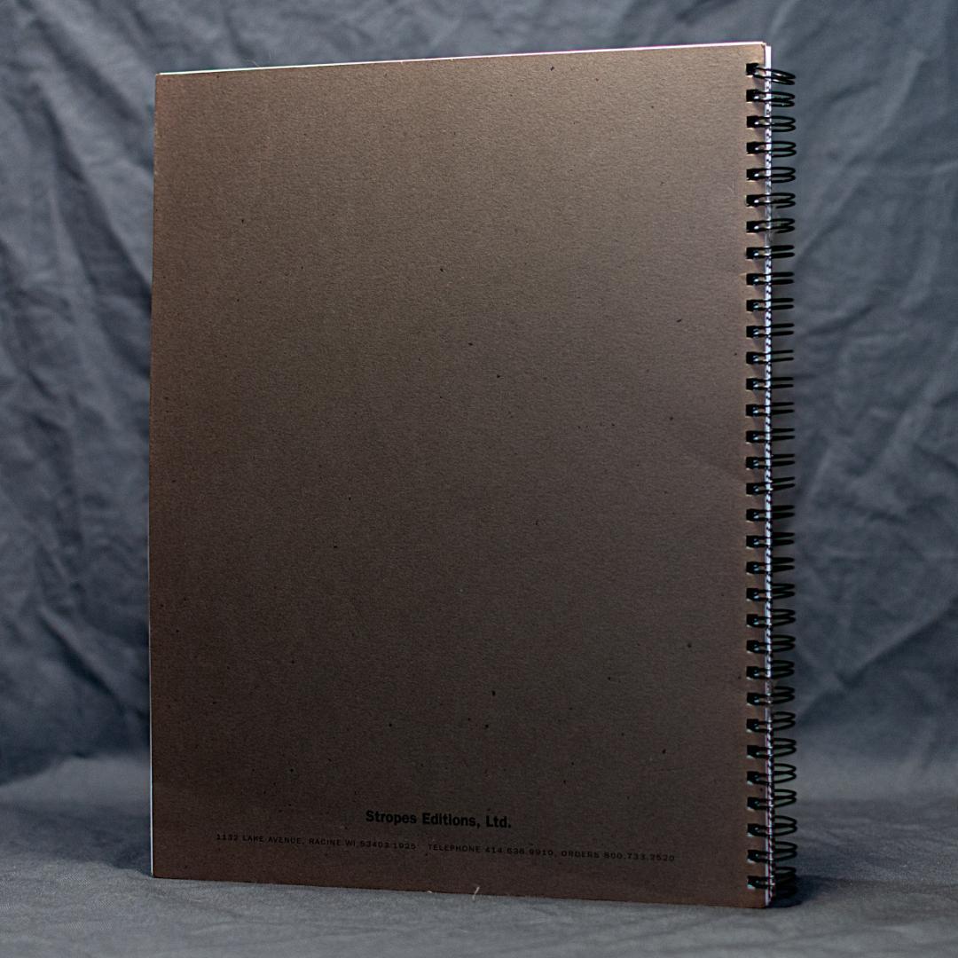 Rhythm Sonority Silence by マイケル・ヘッジス