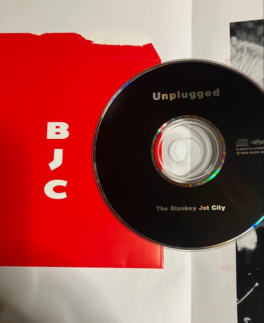 ブランキージェットシティ　写真集　CD付き 浅井健一