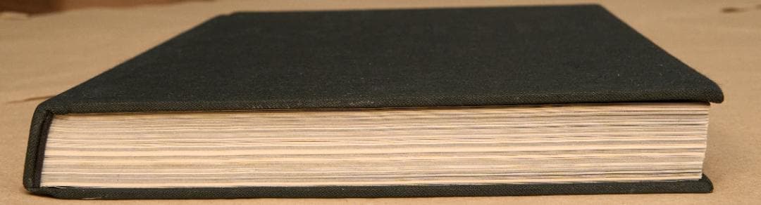 森山大道 : 犬の時間